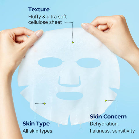 TORRIDEN Dive In Hyaluronic Acid Mask (Single)